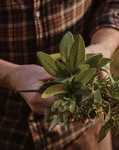 SYPRES-jardinier-carre