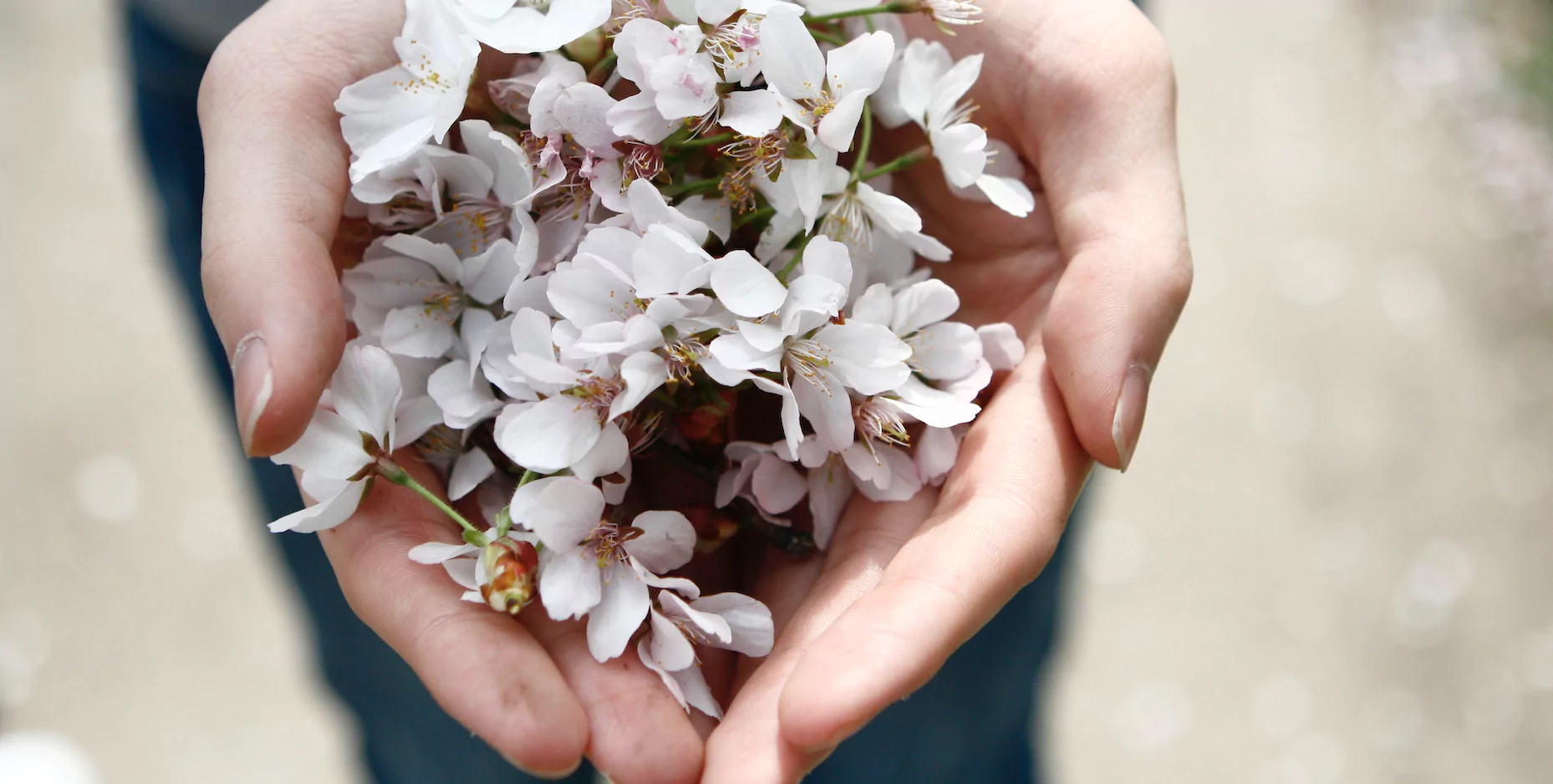 Cérémonie Funéraire