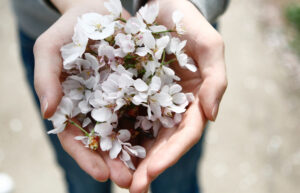 Main tend un bouquet
