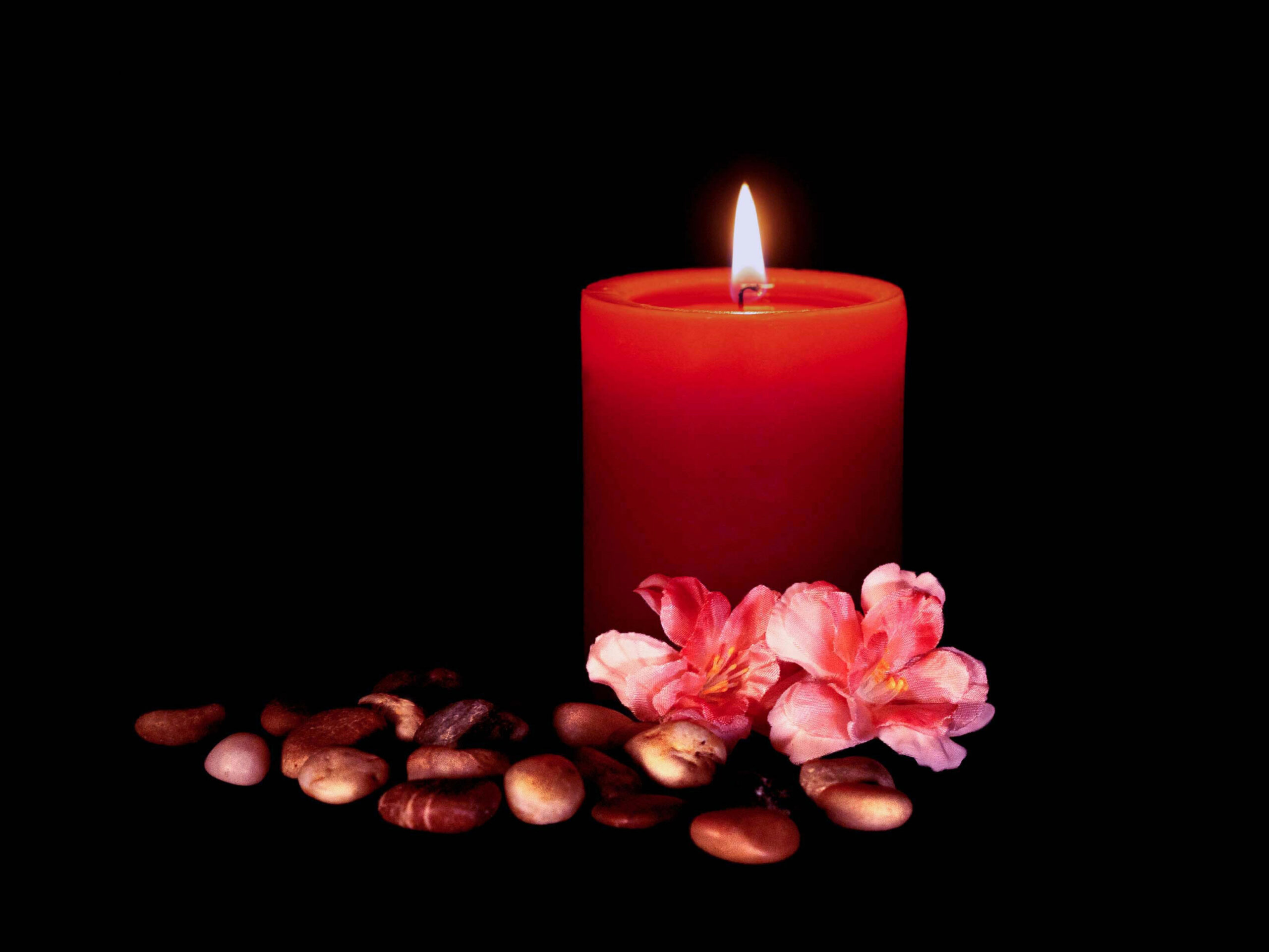 Bougie et fleurs