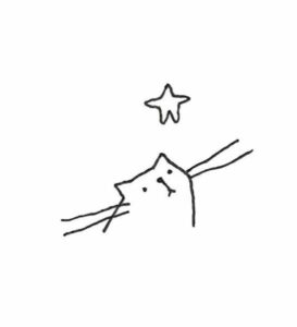 Chat regardant étoile