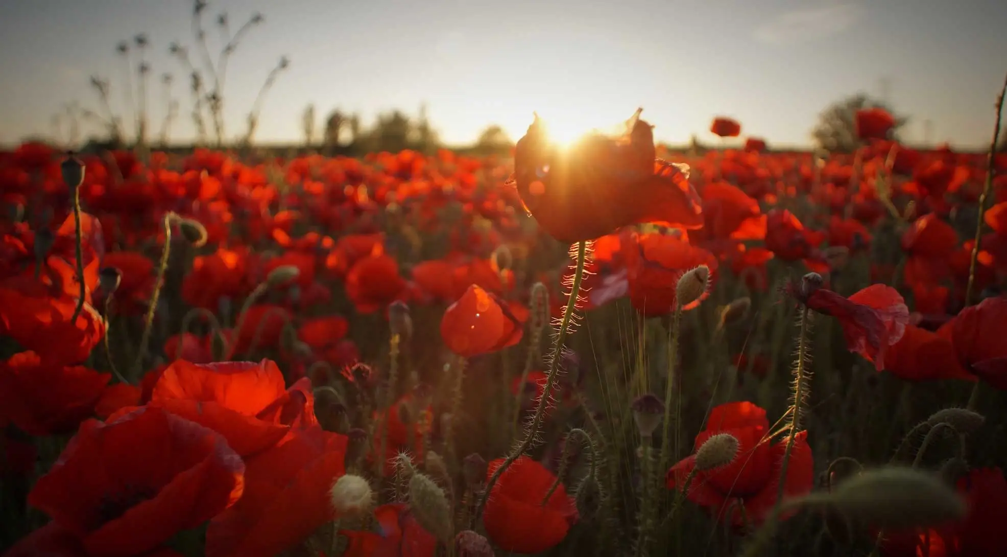 Agendas et Evenements Sypres